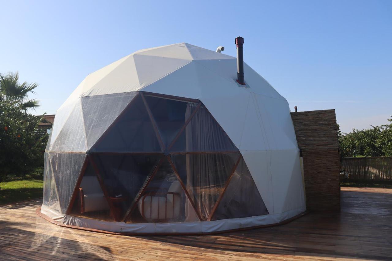 Hotel Mandalin Glamping à Selçuk Extérieur photo