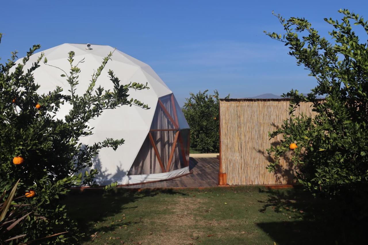 Hotel Mandalin Glamping à Selçuk Extérieur photo