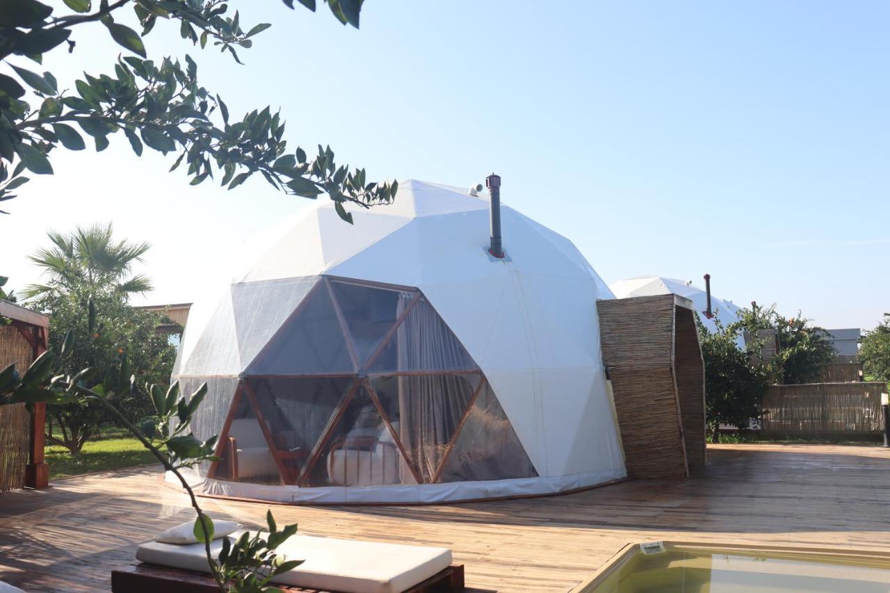 Hotel Mandalin Glamping à Selçuk Extérieur photo