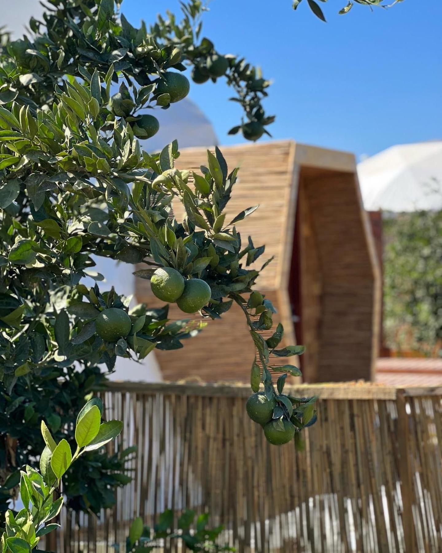 Hotel Mandalin Glamping à Selçuk Extérieur photo