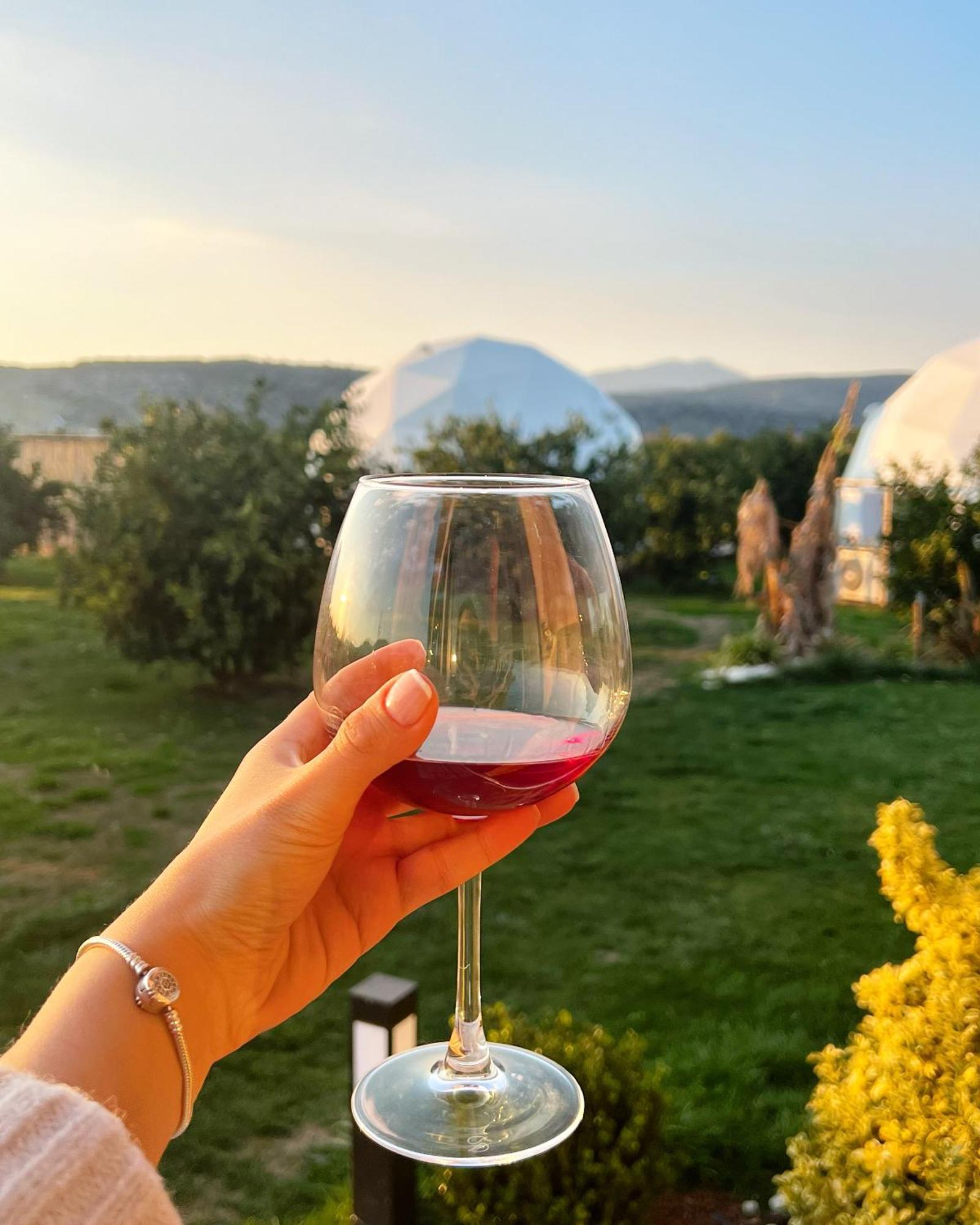 Hotel Mandalin Glamping à Selçuk Extérieur photo