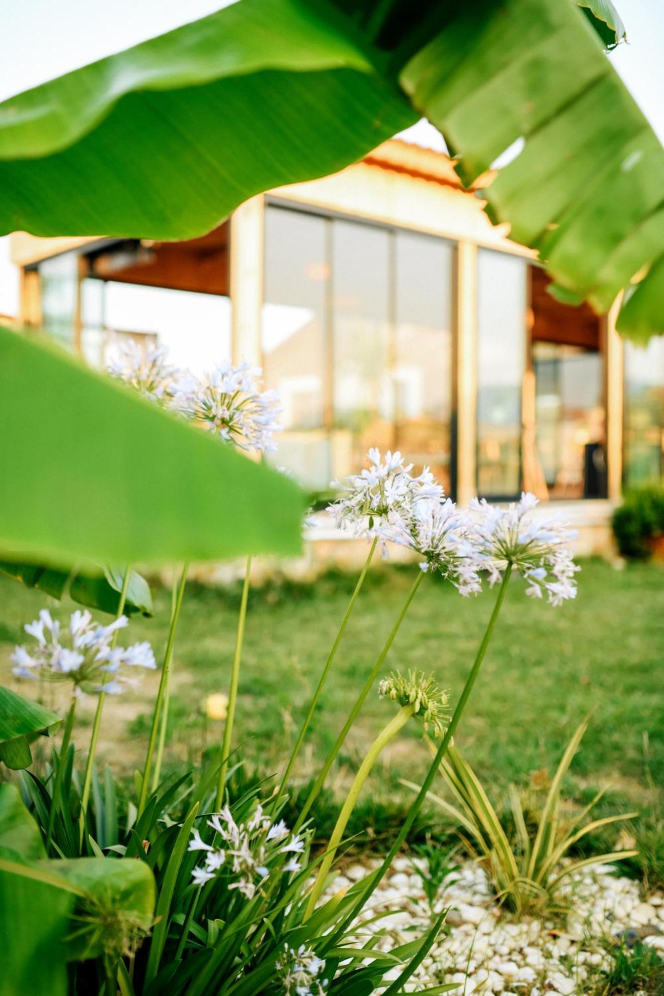 Hotel Mandalin Glamping à Selçuk Extérieur photo