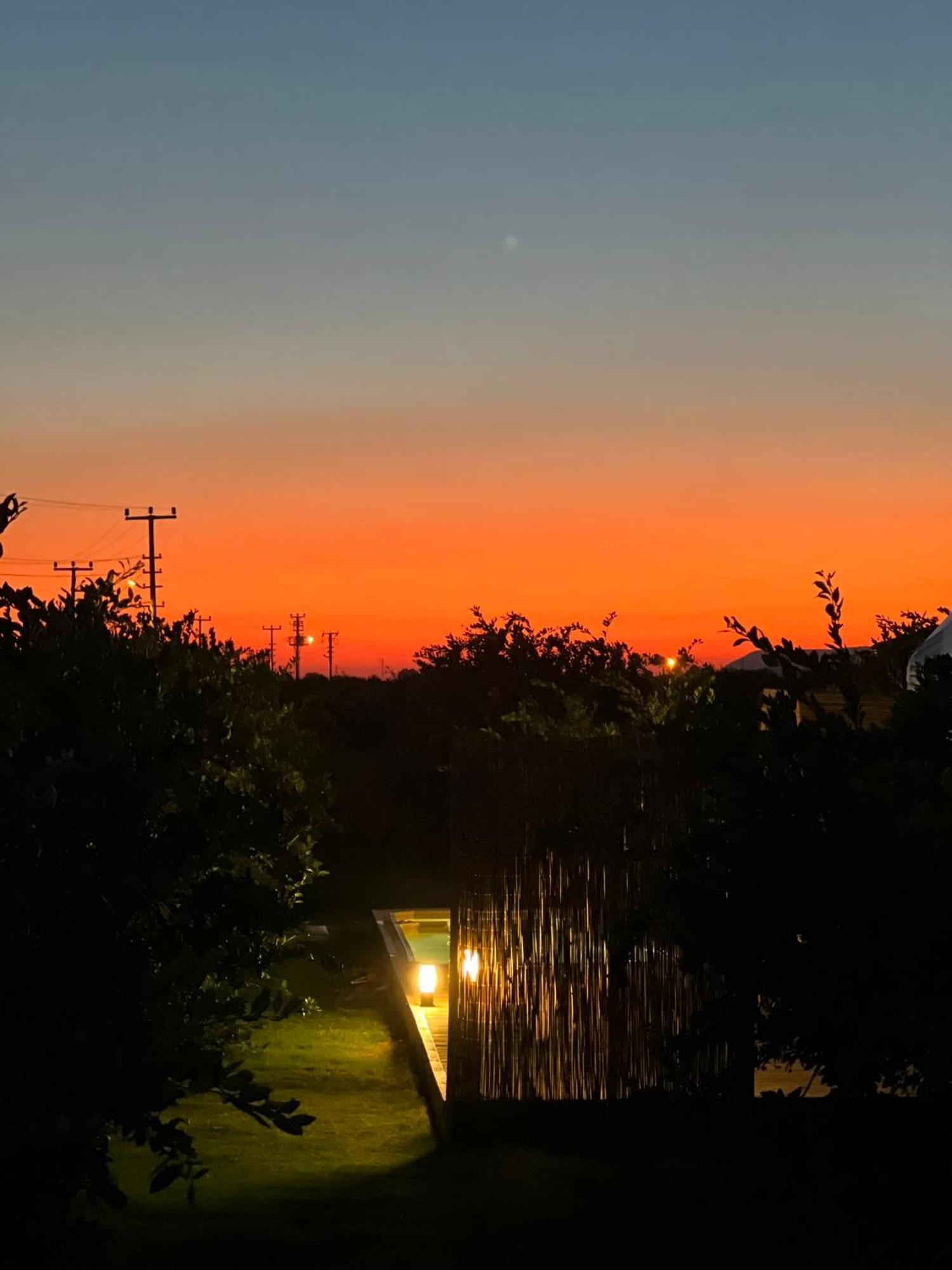Hotel Mandalin Glamping à Selçuk Extérieur photo